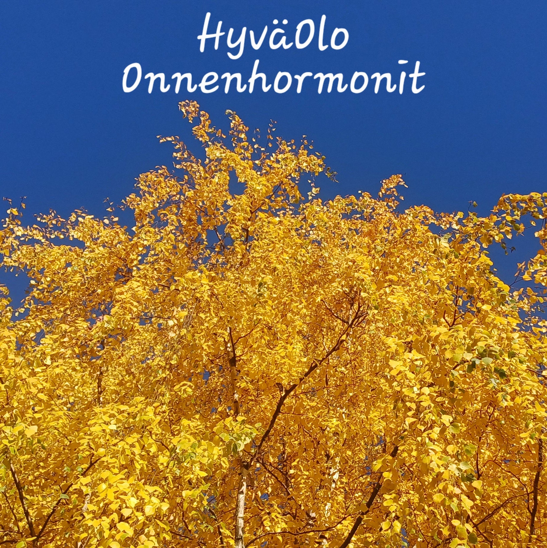 Onnenhormonit – 4 ääniohjausta ja opas onnenhormonien luonnolliseen lisäämiseen